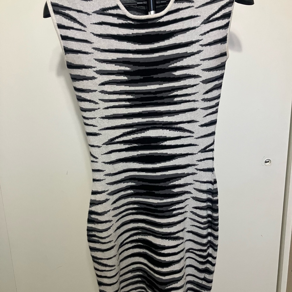 Dynamite Black and Gray Striped Mini Dress